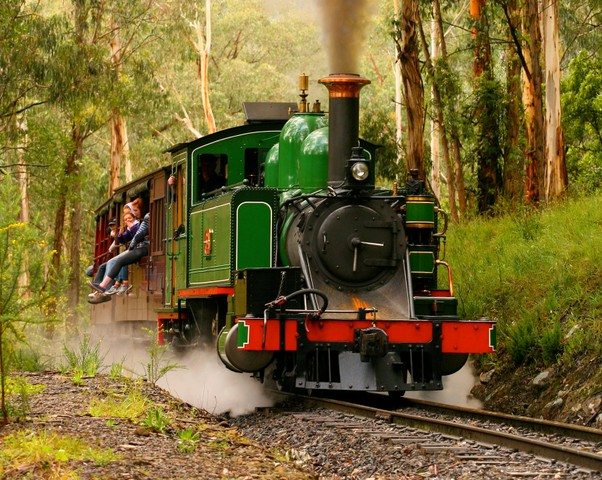 puffing billy train